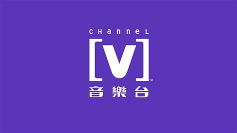 chanel v&a bag|channel v china.